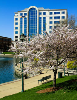 Offices at City Center